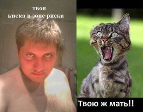 Картинки из ваших этих итернетов...3