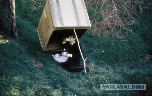 Подборка веселых картинок на выходные