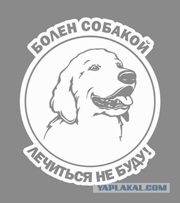 Собакочетверг 07.04.2016