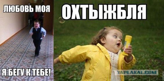 Картинки для поднятия настроения - 4