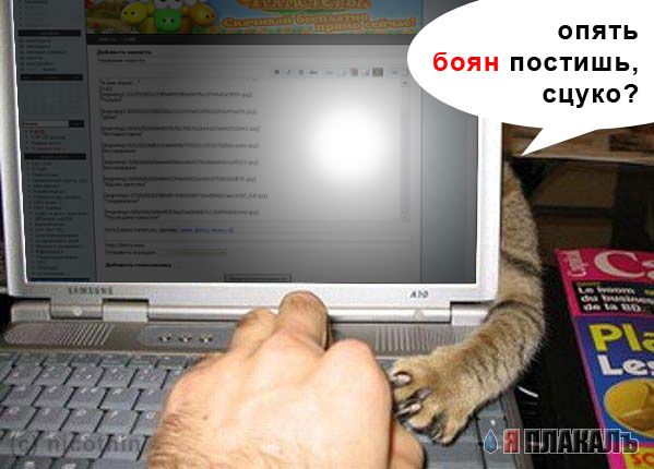 Внимание! У Ликоса пропала совесть!