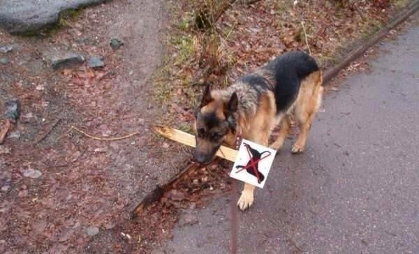 Подборка интересных и веселых фото