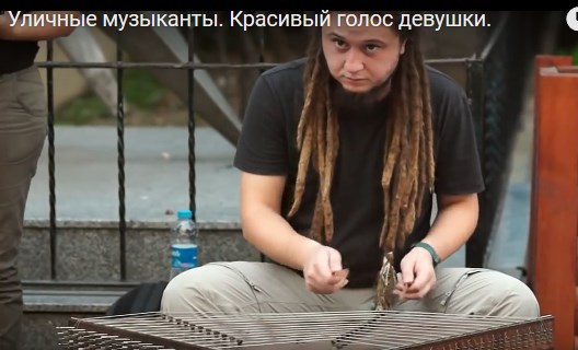 Уличные музыканты. Красивый голос девушки