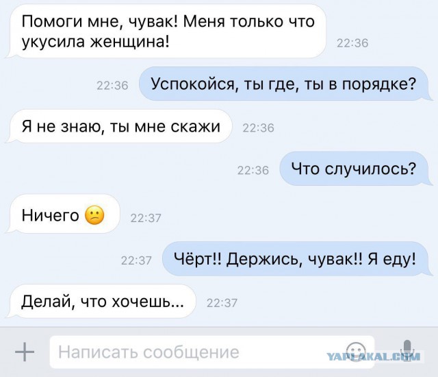 Смешные комментарии из социальных сетей 03.03.2017