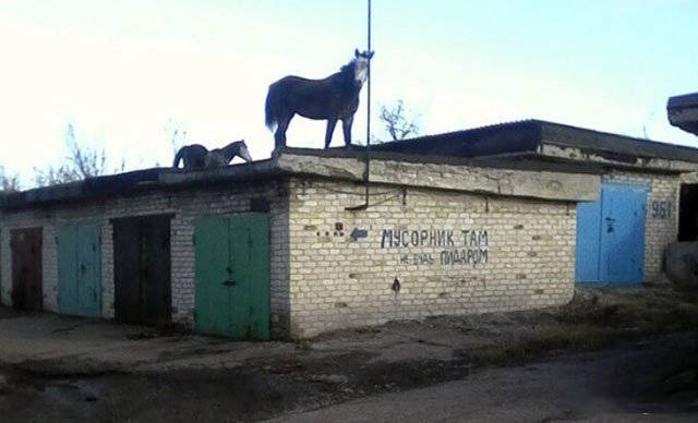Удивительные снимки с российских просторов