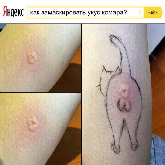 Деградировать подано, дамы и господа!