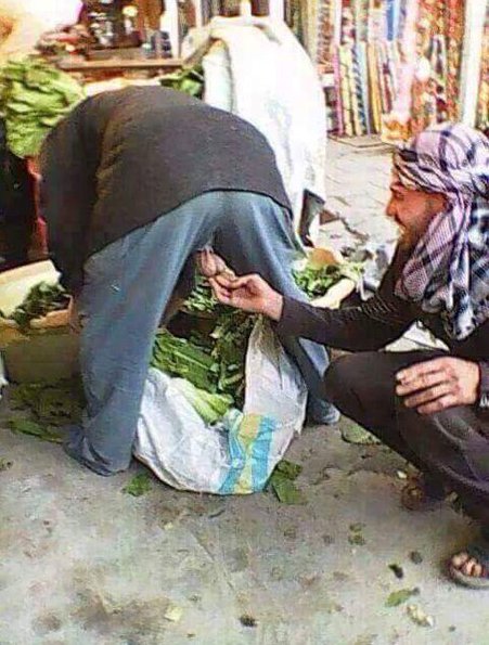 Забавных картинок не хотите ли?