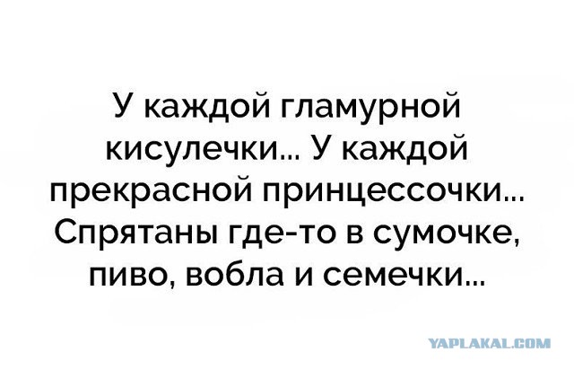 Смешные комментарии из социальных сетей 10.11.2017