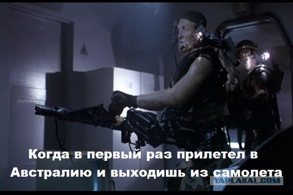 Не всё в Австралии хочет убить тебя