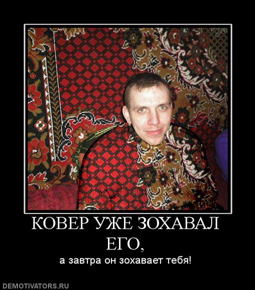 Десантный котовторник
