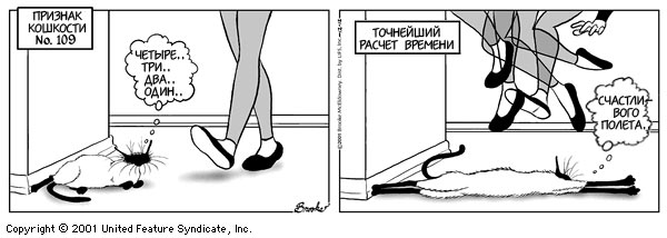 Признаки кошкости