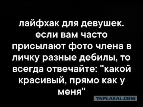 Женский взгляд на мужскую логику