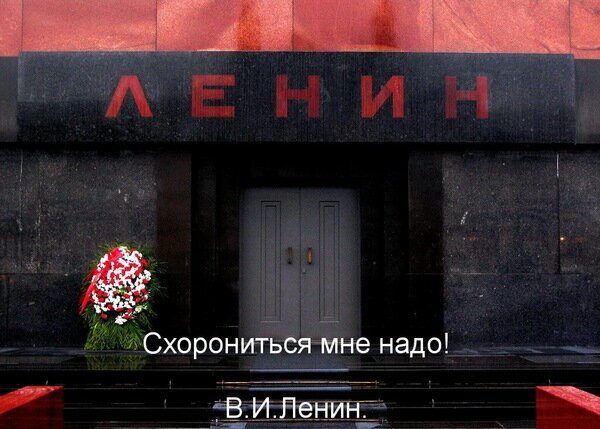 Немного картинок для настроения 11.12.19