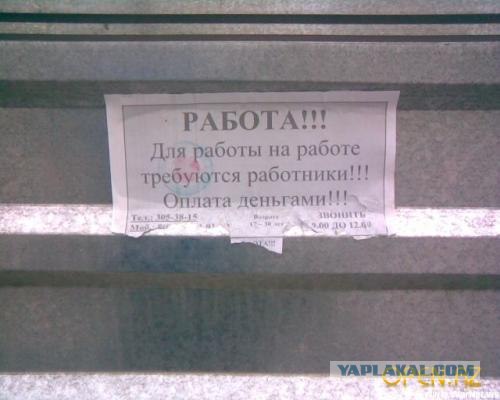 На работе нужно работать