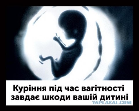 Австралийцы - курите "на здоровье