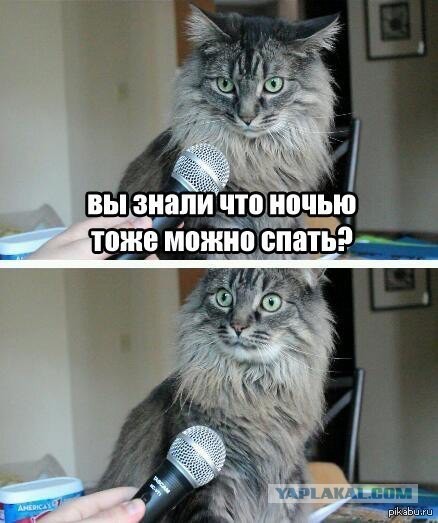 Такие старые, что кажется ты их впервые видишь 4