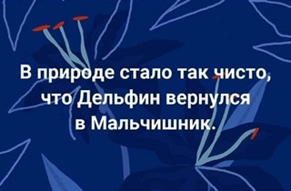 Откровение плохого папы