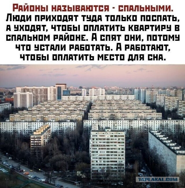 Фотки и картинки: юморные и красивые, забавные и милые 09.11.20