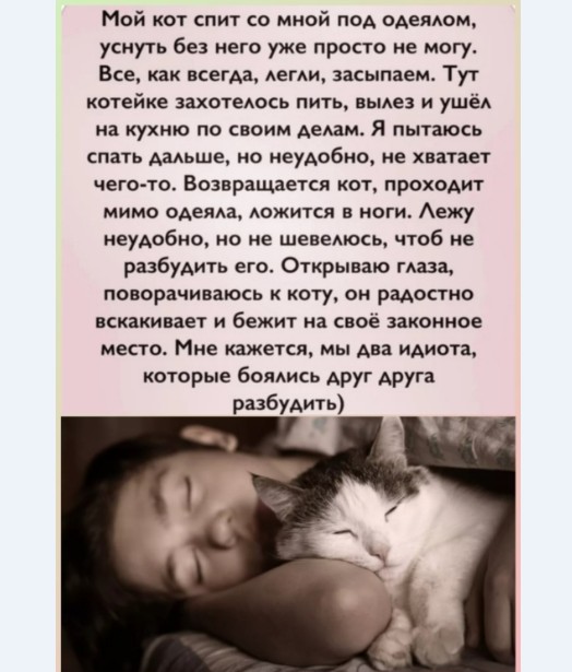 Картинки и мемы для настроения 025