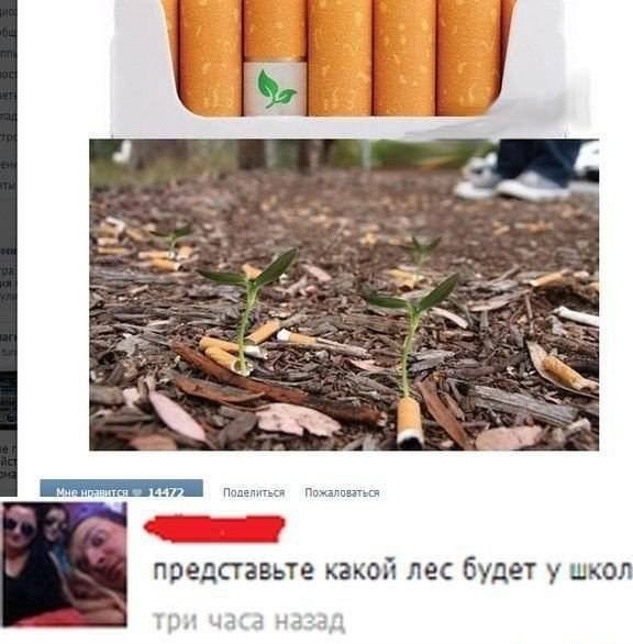 Бредзона 01.03.21