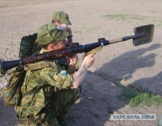 Шмели на солнцепеке