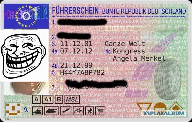 Недотрога с фальшивыми правами