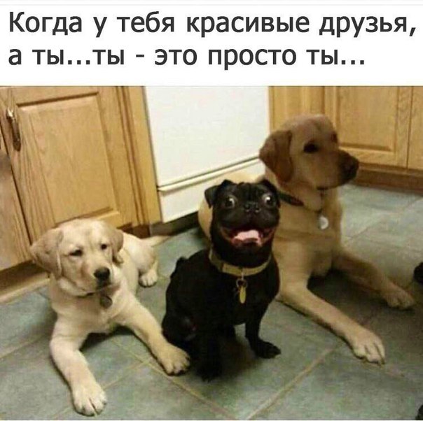 Так себе картинки 19.06.21