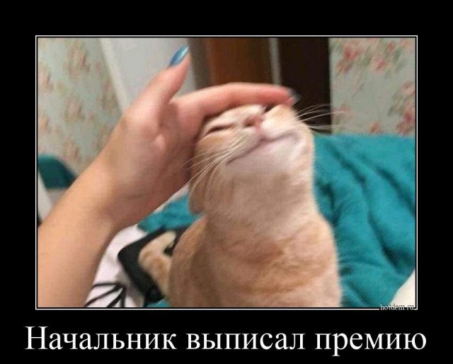 Картинки на вчера