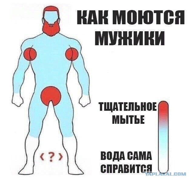 Как часто стоит мыться? И мыть ли все?