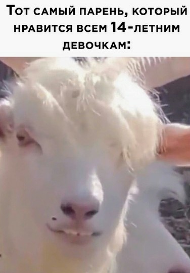 Картинки и мемы для настроения