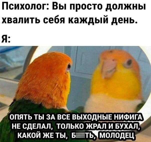 Всяческие картинки 10.11.2021