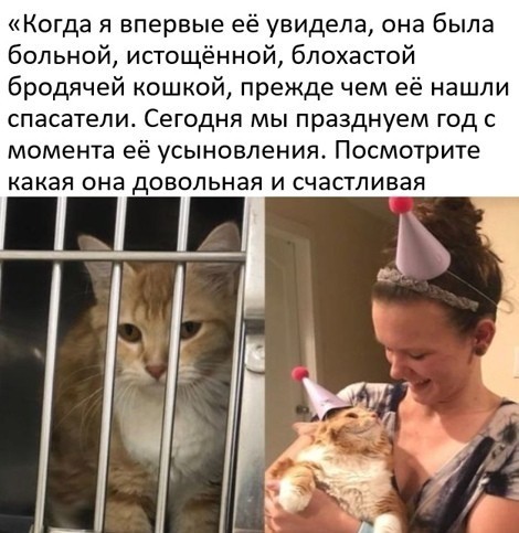 Картинки и мемы для настроения 17.11.2021