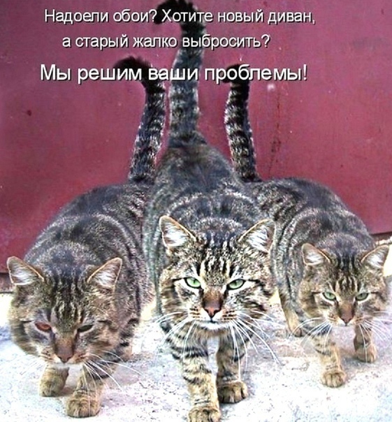Так себе картинки 31.12.21