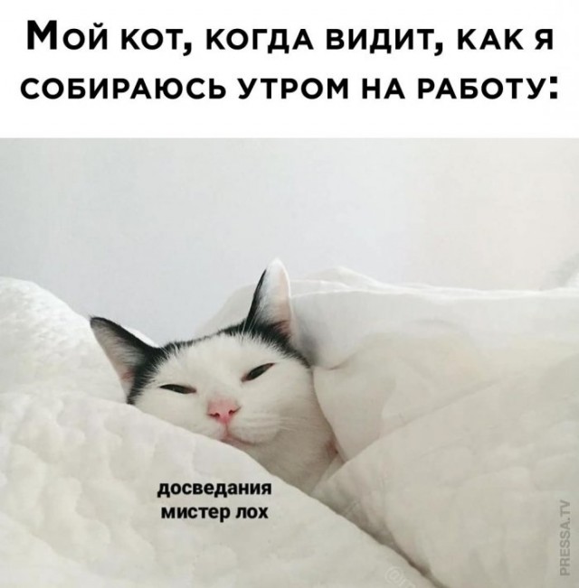 Он помогает или мешает?