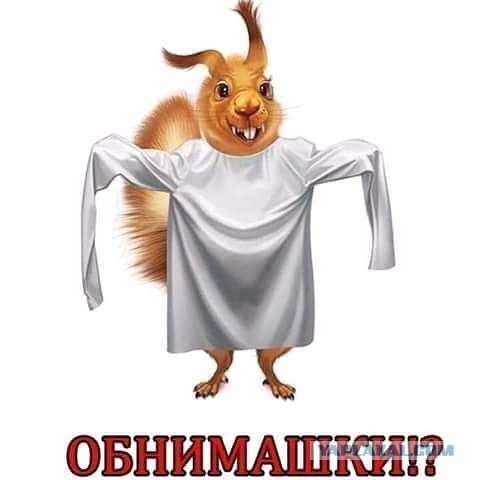 Илона Маска уже не остановить. Он ответил Рогозину