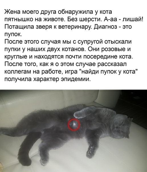 Картинки и мемы для настроения - 19