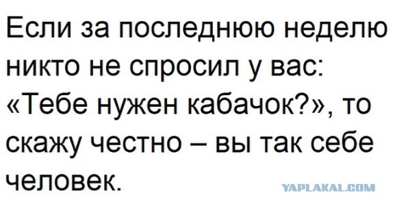 Как утилизировать кабачки правильно. Рецепт.
