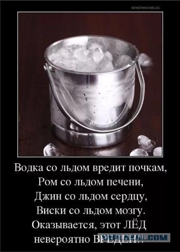 Свекровь подговаривает мужа сделать тест ДНК нашему сыну. Боюсь результата, так как есть грешок