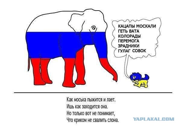 Привести Украину к полной капитуляции: загадка Суровикина