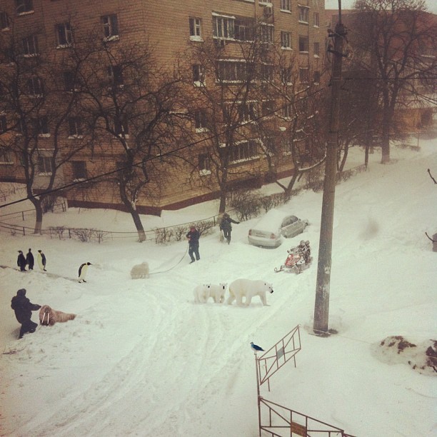 По Киеву на снегоходе