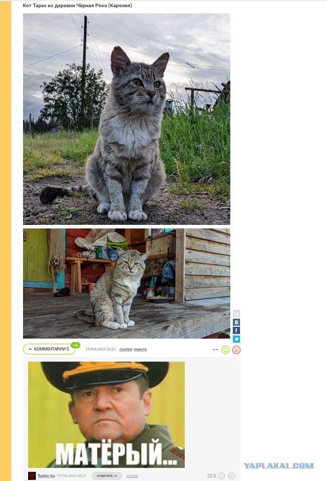 Матёрый...