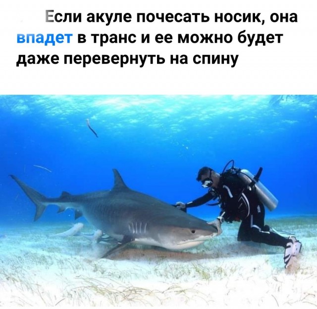 Скриншоты и комментарии из социальных сетей 06.05.23