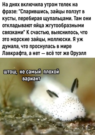 Картинки и мемы, всяко разно - 181