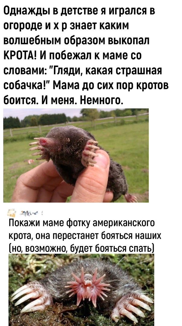 Так себе картинки 14.06.23
