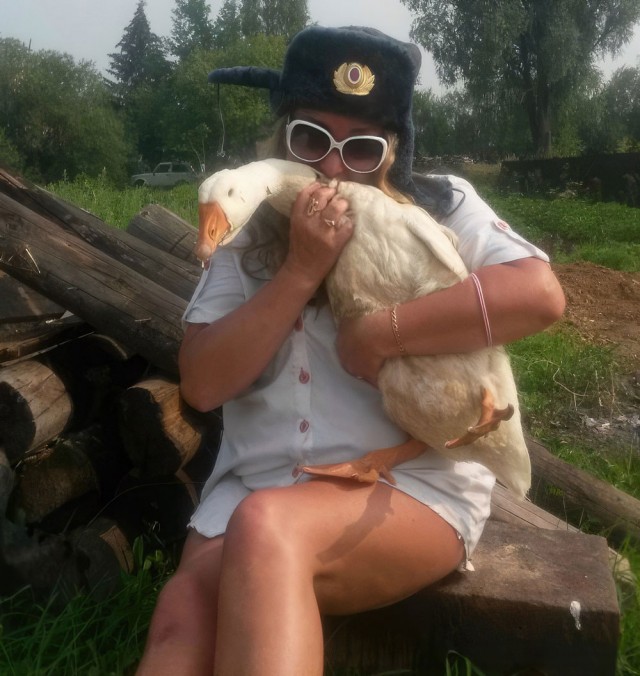Гусь вялый