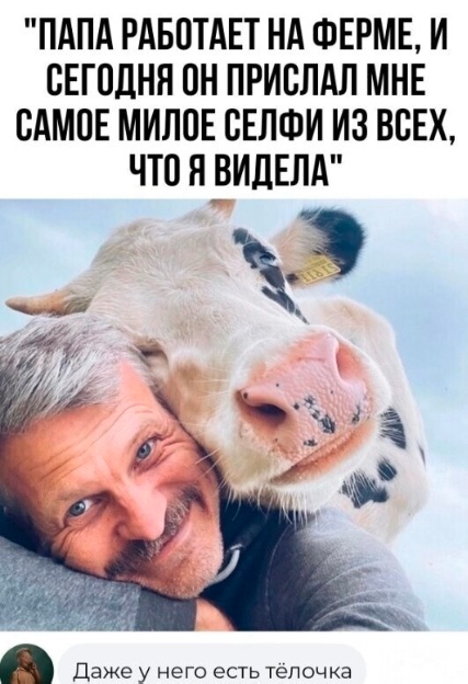 Так себе картинки 23.12.23