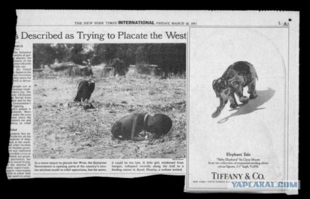 «Девочка и стервятник»: как всего один репортажный снимок разрушил карьеру и жизнь фотографа Кевина Картера.Судан, 25 марта 1993
