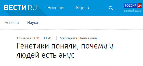 Так себе картинки 21.02.24