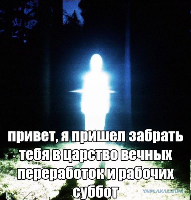 Картинки