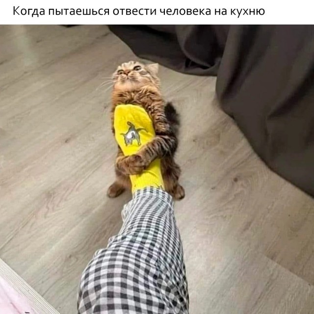 Так себе картинки 27.10.24